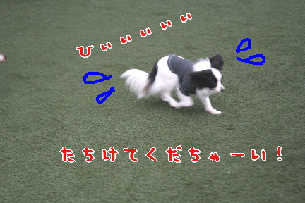 d0013149_0502884.jpg
