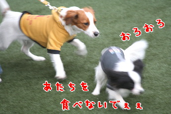d0013149_0505724.jpg
