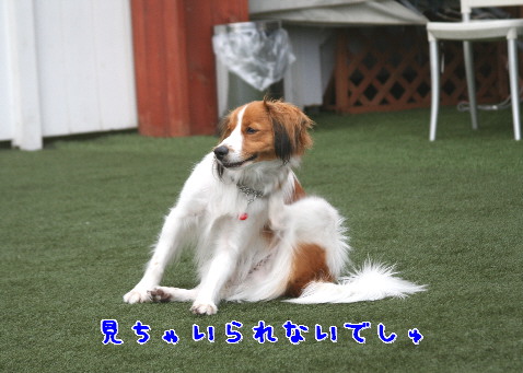 d0013149_125619.jpg