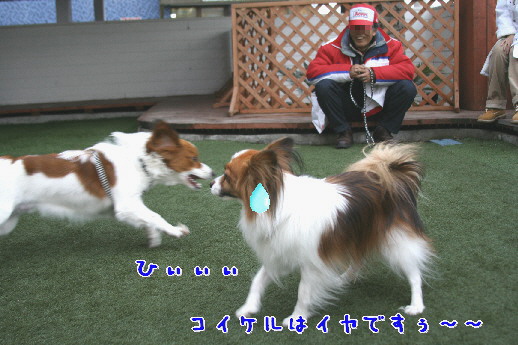 d0013149_1372012.jpg