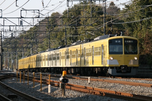 e0002554_20213786.jpg