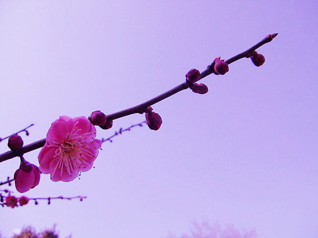 c0031856_22261594.jpg