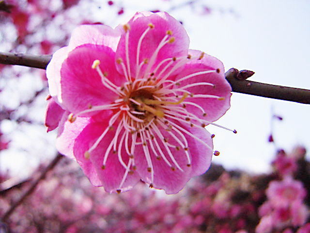 c0031856_22264086.jpg