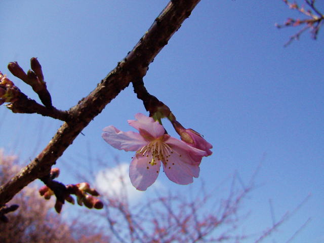 c0031856_22275021.jpg