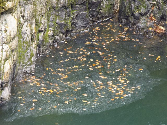 f0033856_047977.jpg
