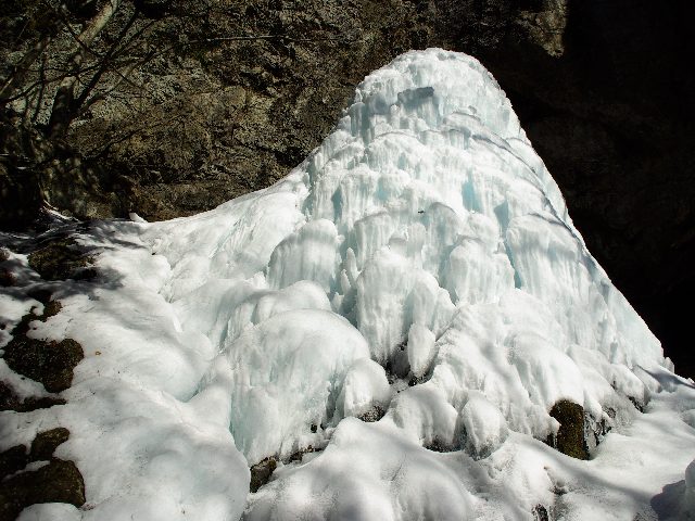 f0033856_171271.jpg