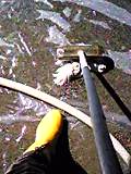 d0007957_2315952.jpg