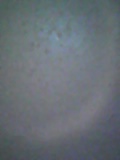 d0007957_2356432.jpg