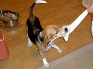 e0007060_21161613.jpg