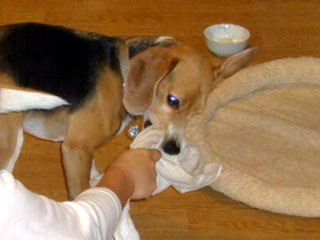 e0007060_2117158.jpg