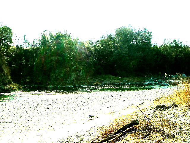 f0084561_11125088.jpg