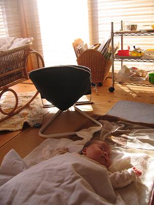 e0031568_12355612.jpg