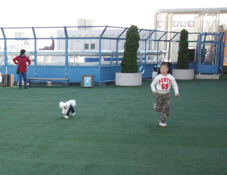 b0060071_1892350.jpg