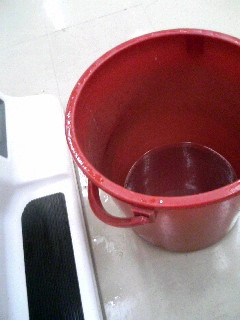 d0060984_1772622.jpg