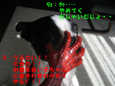 c0092787_11233251.jpg