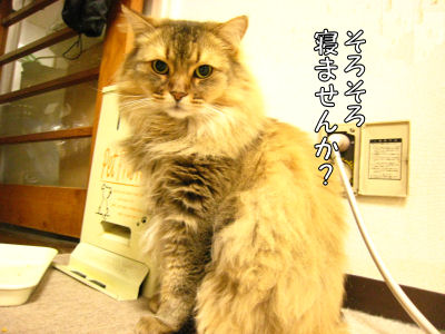 a0045990_1565633.jpg