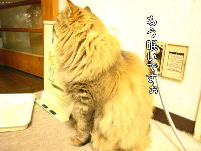 a0045990_157640.jpg