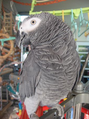 c0076490_2341633.jpg