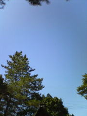 f0008692_2112990.jpg