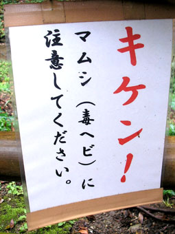 e0083097_21302172.jpg