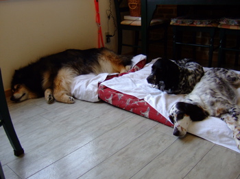 f0001698_14182274.jpg