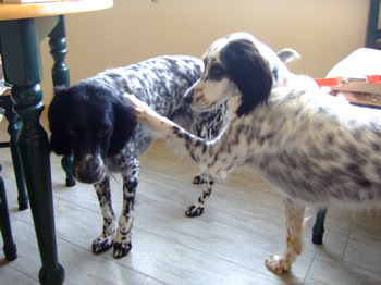 f0001698_1428252.jpg