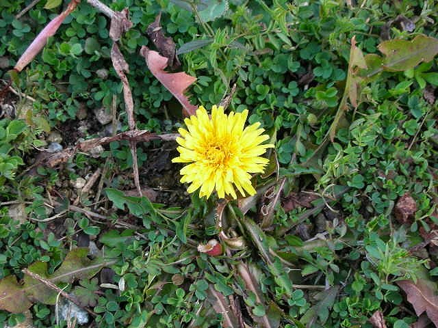 f0083400_18201880.jpg
