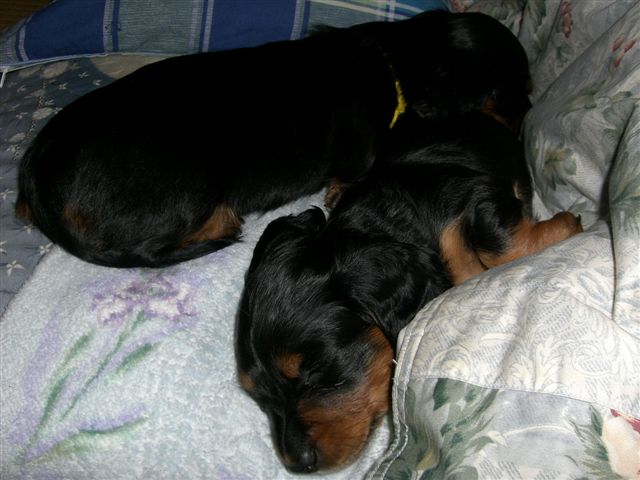 c0087001_034912.jpg