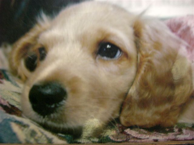 c0087001_0361883.jpg