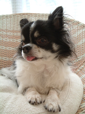 a0079803_0154450.jpg