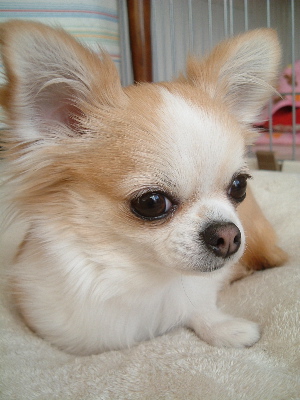 a0079803_091536.jpg