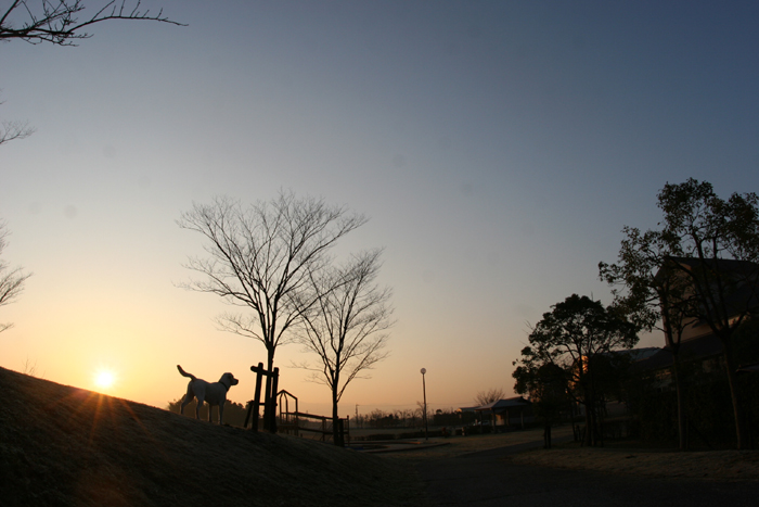 c0089005_17282764.jpg