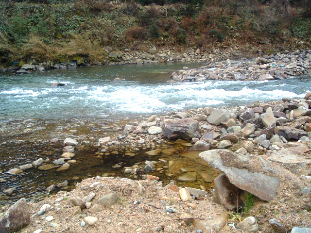 e0115516_14155737.jpg