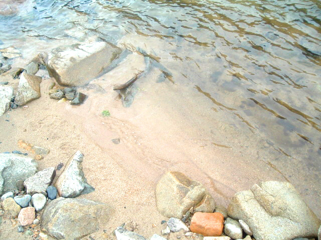 e0115516_1416184.jpg