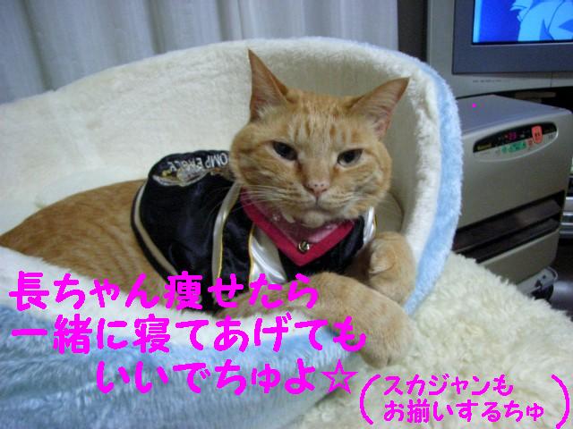 d0081025_21101540.jpg