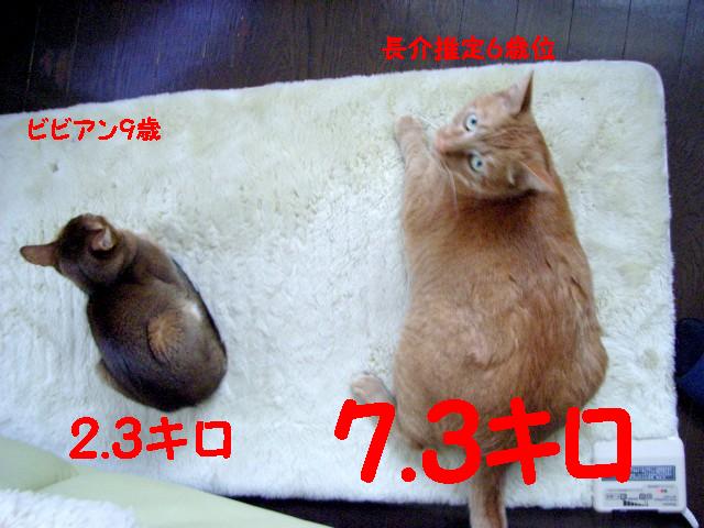 d0081025_2154897.jpg