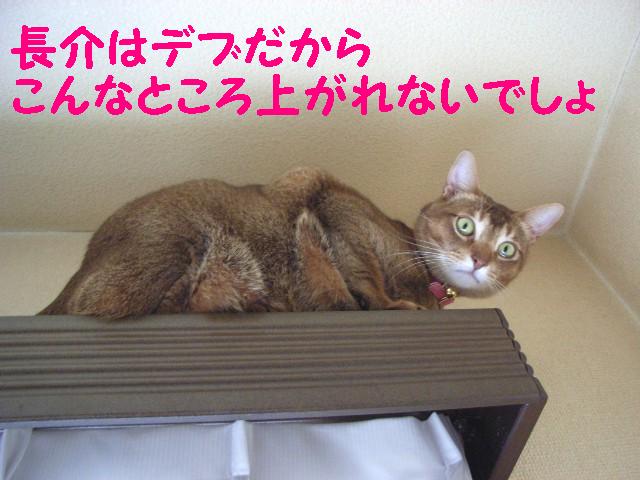 d0081025_216519.jpg