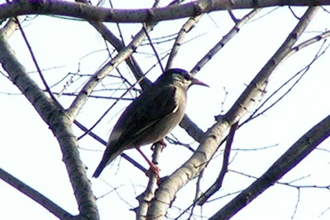 b0043440_13231458.jpg