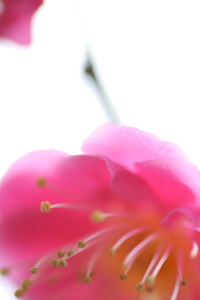 a0024250_21523756.jpg