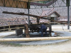 d0031853_17295979.jpg