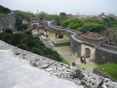 d0031853_22435655.jpg