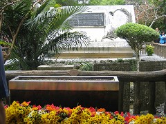 d0031853_2321574.jpg