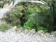 d0031853_2332670.jpg