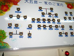 d0031853_323636.jpg