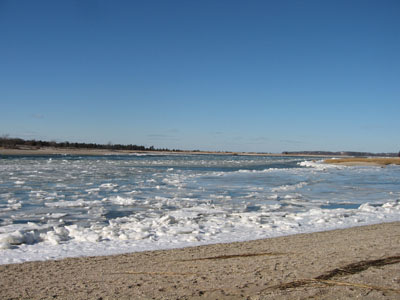 b0050356_21443232.jpg