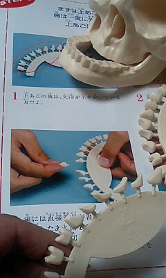 e0045856_22392416.jpg