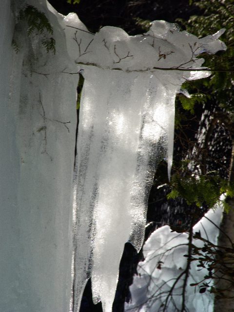 f0033856_1464858.jpg