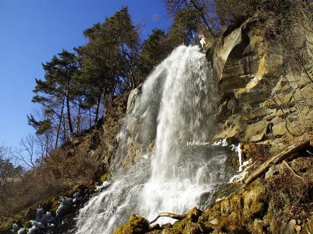 f0033856_147211.jpg