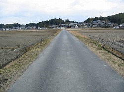 e0041168_1032996.jpg