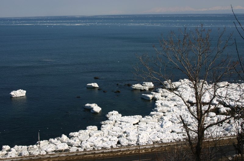 a0016775_2218599.jpg